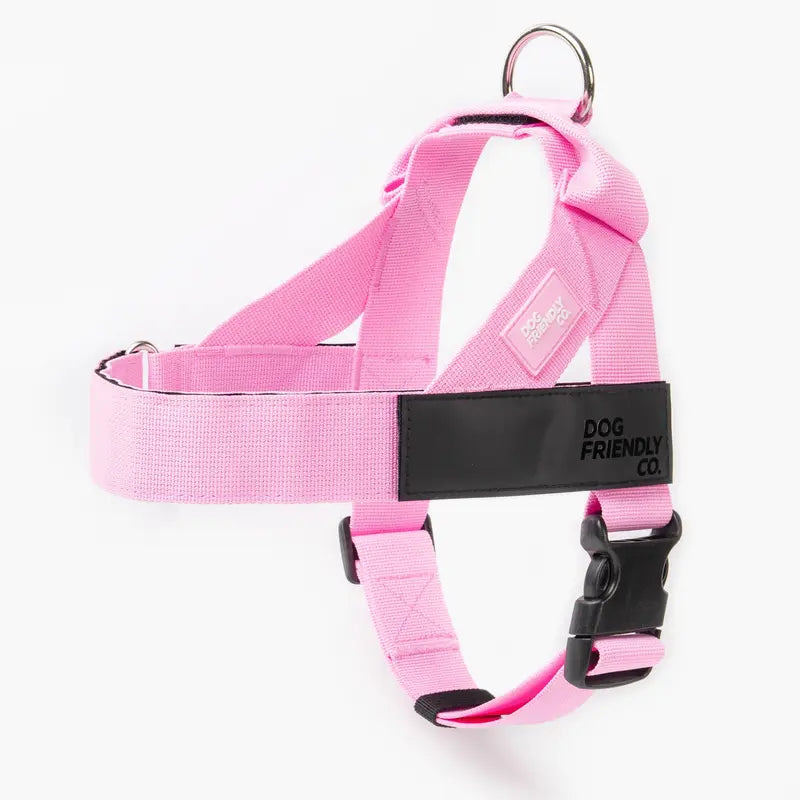🐕 Fit for every breed! From XXS to XL, our adjustable dog harness offers a customised fit. No tugging, just comfortable walks. 🐾