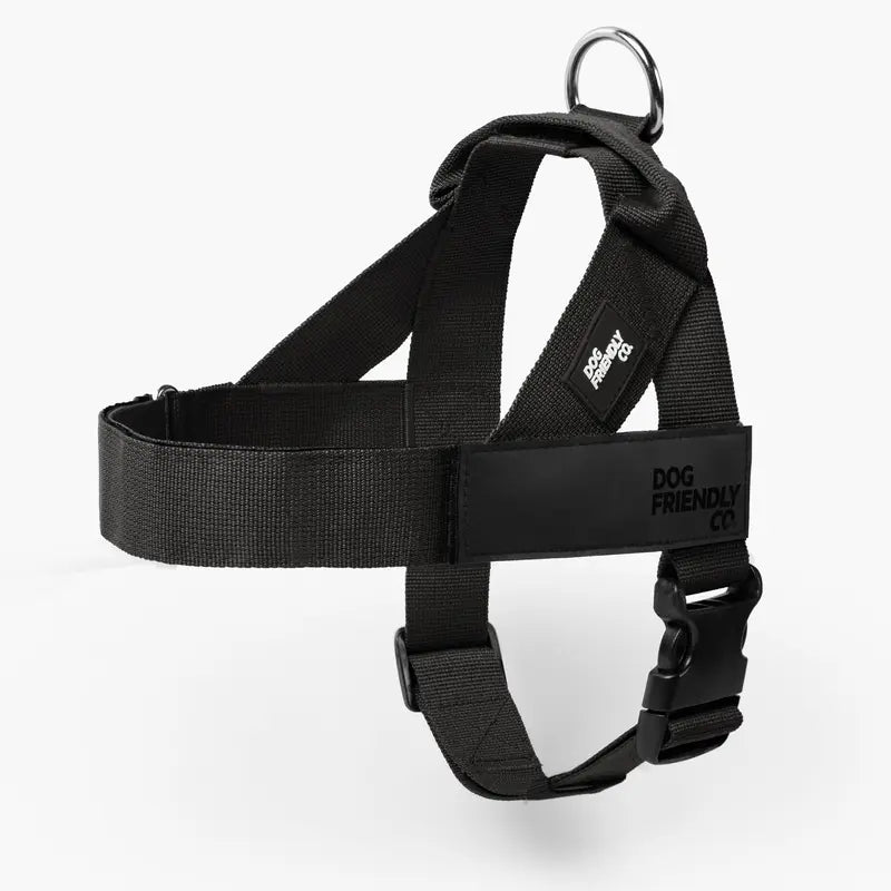🐕 Fit for every breed! From XXS to XL, our adjustable dog harness offers a customised fit. No tugging, just comfortable walks. 🐾