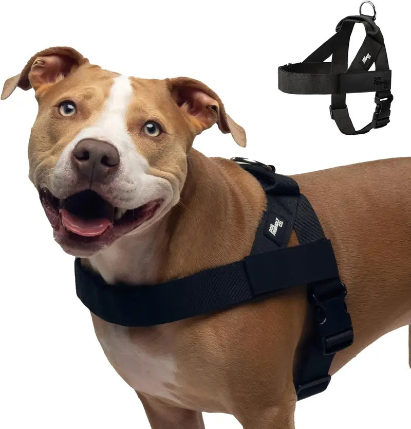 🐕 Fit for every breed! From XXS to XL, our adjustable dog harness offers a customised fit. No tugging, just comfortable walks. 🐾