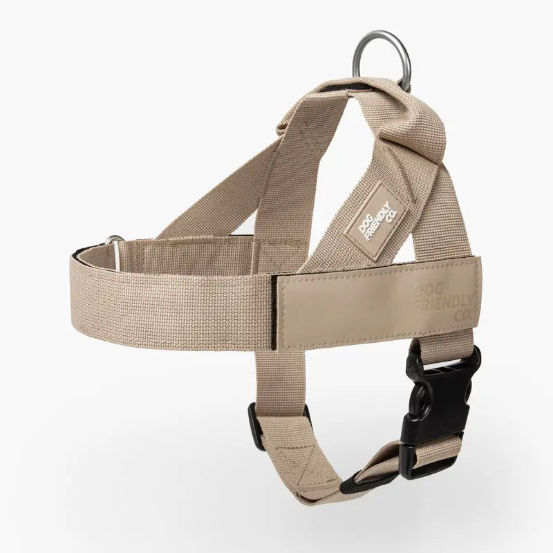 🐕 Fit for every breed! From XXS to XL, our adjustable dog harness offers a customised fit. No tugging, just comfortable walks. 🐾