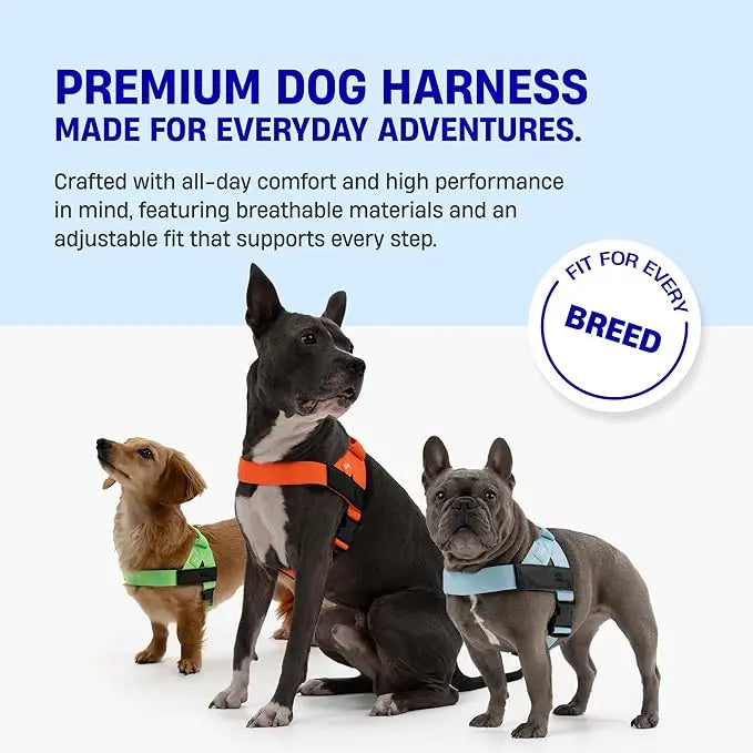 🐕 Fit for every breed! From XXS to XL, our adjustable dog harness offers a customised fit. No tugging, just comfortable walks. 🐾