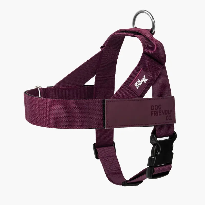🐕 Fit for every breed! From XXS to XL, our adjustable dog harness offers a customised fit. No tugging, just comfortable walks. 🐾