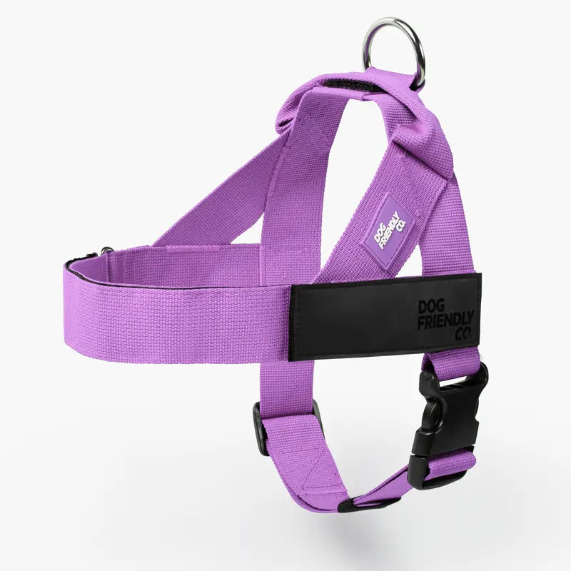 🐕 Fit for every breed! From XXS to XL, our adjustable dog harness offers a customised fit. No tugging, just comfortable walks. 🐾