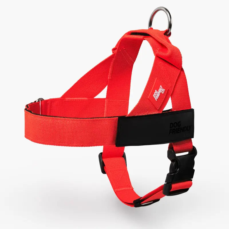 🐕 Fit for every breed! From XXS to XL, our adjustable dog harness offers a customised fit. No tugging, just comfortable walks. 🐾