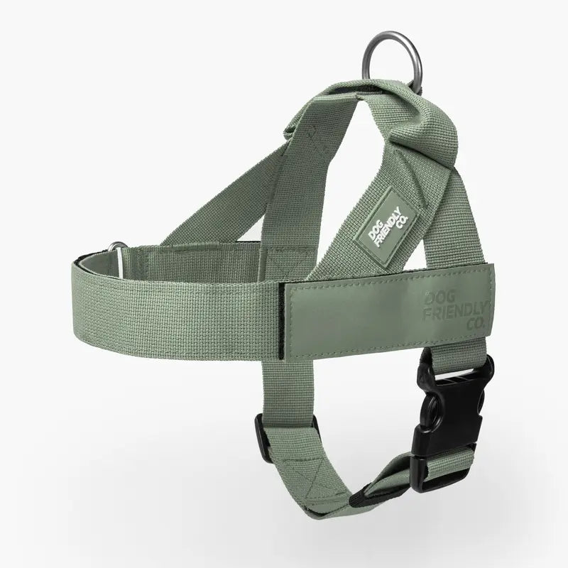 🐕 Fit for every breed! From XXS to XL, our adjustable dog harness offers a customised fit. No tugging, just comfortable walks. 🐾